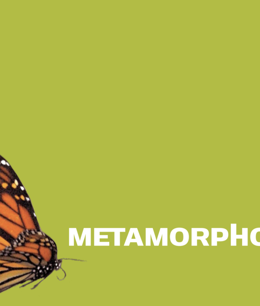 A monarch butterfly wing and body appear on the left against a green background with the text “METAMORPHO” in bold white letters on the right.