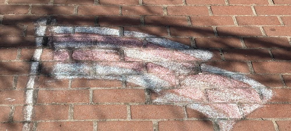 Chalk drawing of an American flag on a red brick sidewalk, partially shaded by tree branches, serves as a subtle backdrop for a transgender day of visibility statement.