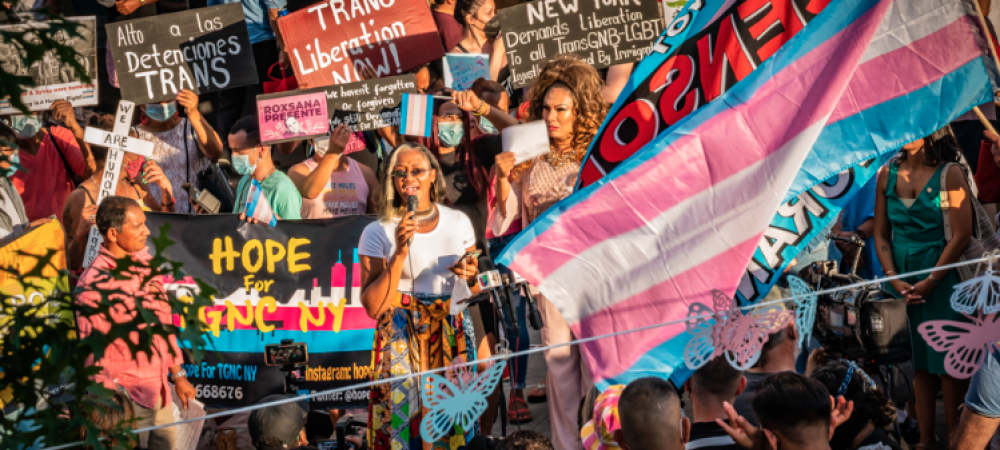 A crowd at a rally holds signs and a large transgender pride flag, advocating for trans rights and liberation. A speaker addresses the crowd with a microphone, emphasizing the election impact and making an impassioned appeal for equality.