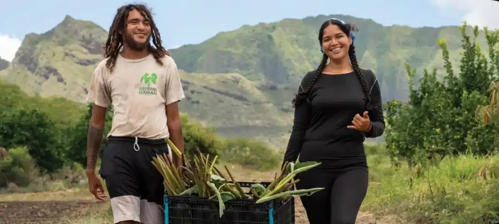 Two people walk outdoors with a crate of harvested plants between them, set against a backdrop of green mountains and a blue sky.